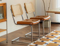 Rattan Leather Dining Chair Set